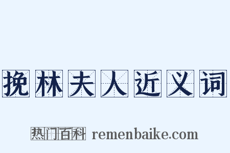 挽林夫人近义词是什么意思的图片